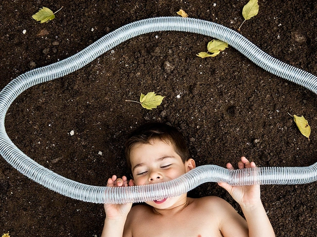Onverwachte versnellingsfase: Hoe het brein van volwassenen met autisme ouder wordt